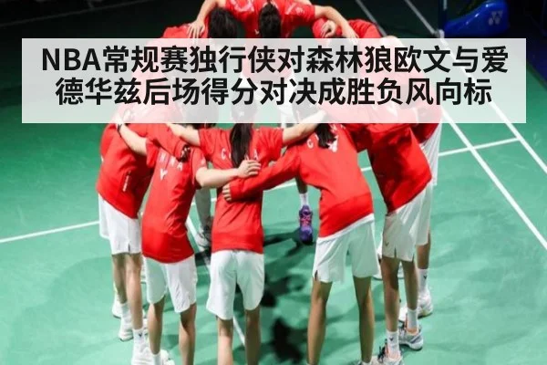 NBA常规赛独行侠对森林狼欧文与爱德华兹后场得分对决成胜负风向标